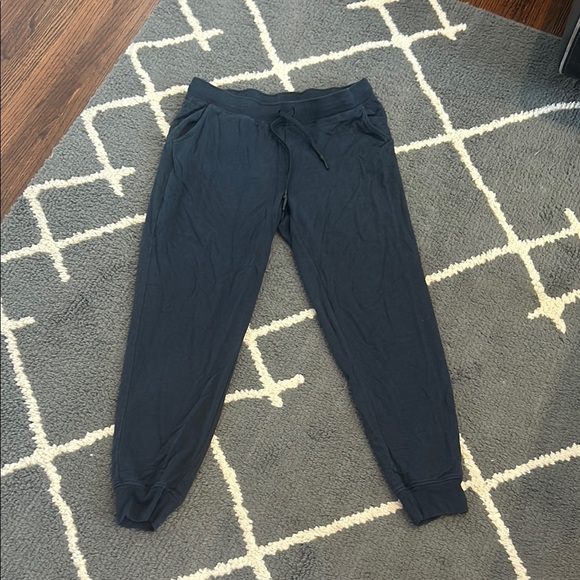 Moosejaw Navy Joggers - Picture 1 of 5